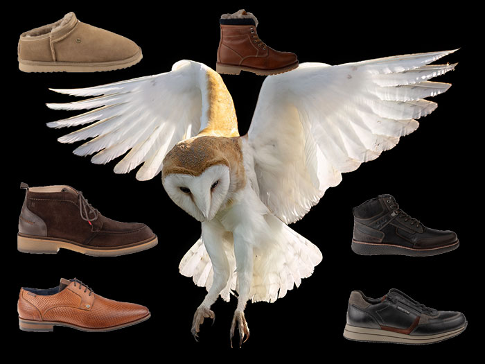 Henrita Footwear 2 Heren - Schoenen - Sneaker - Sloffen - Slippers en meer